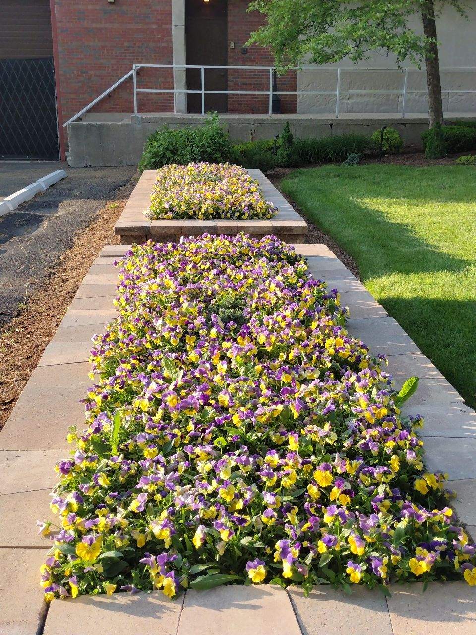 Professional landscaping work