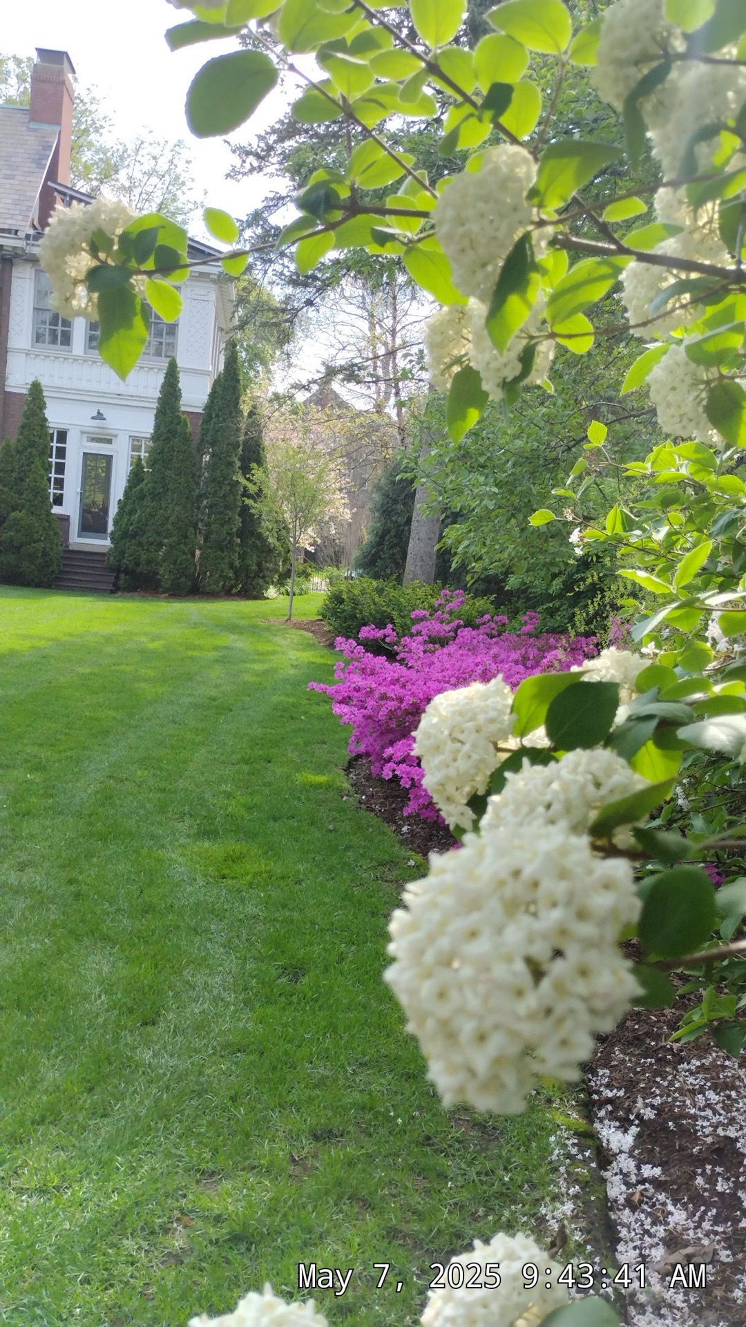 Hoy Landscaping team