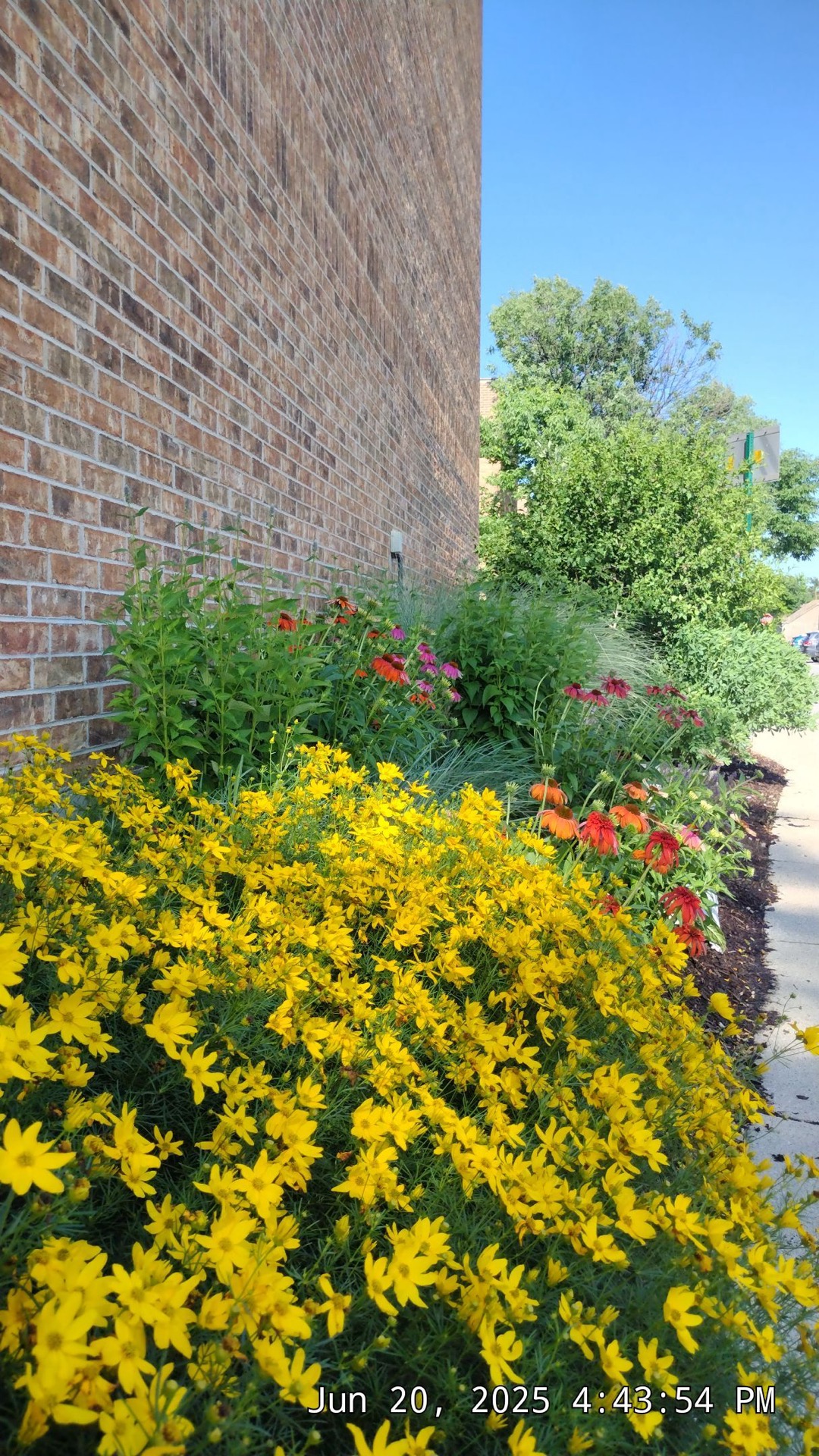 Professional landscaping services