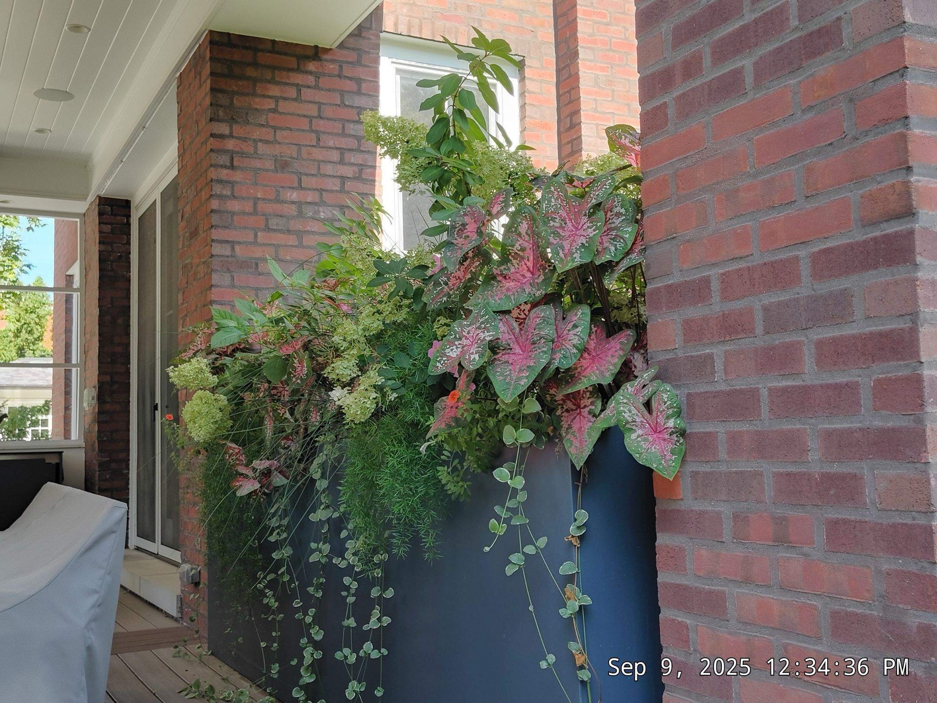 Commercial landscaping