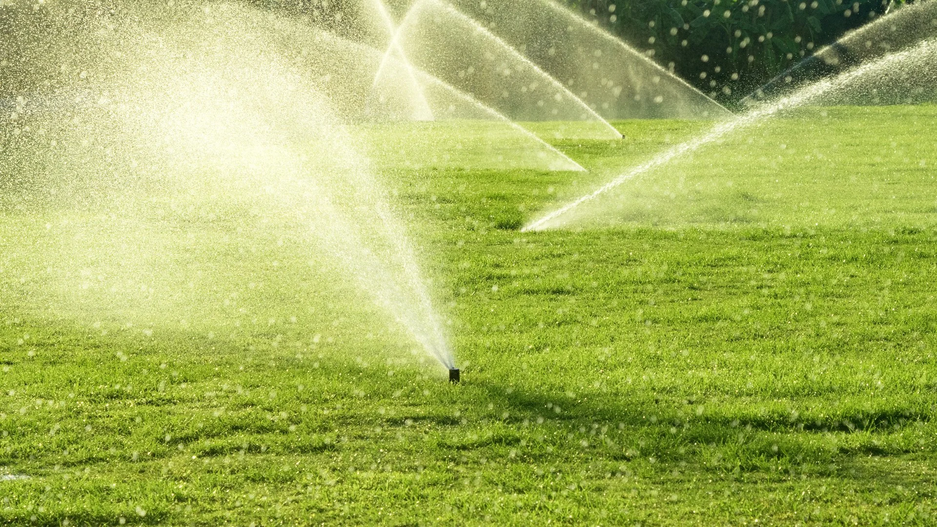 Multiple lawn sprinkler heads watering a residential landscape