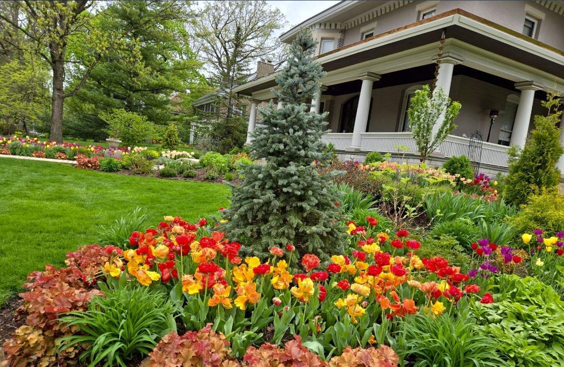 Residential landscape maintained in Chicago (By Zip Code), IL