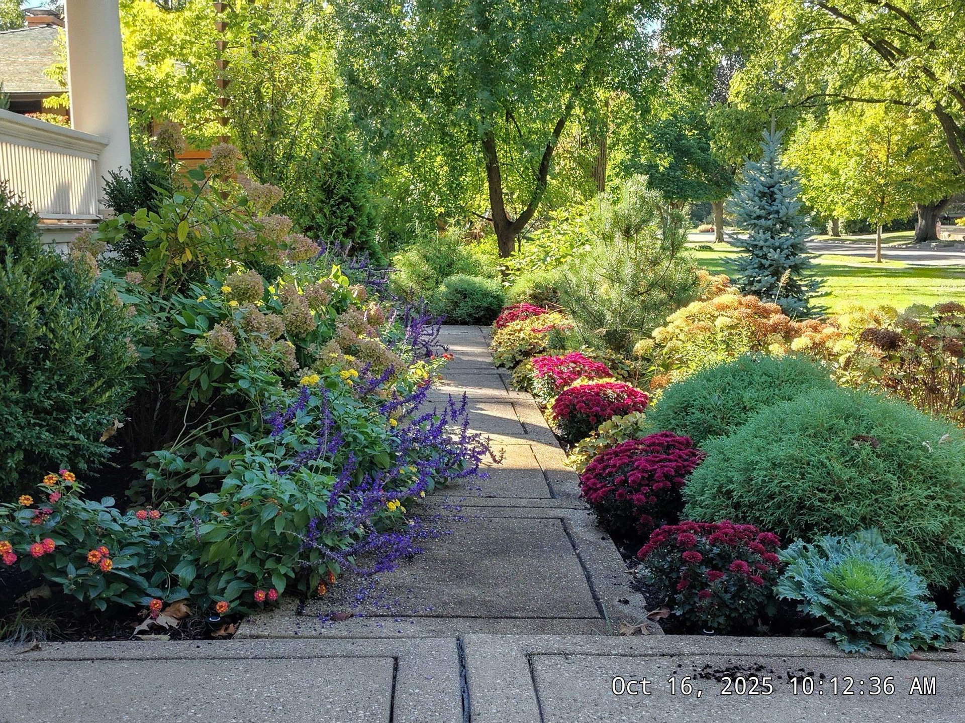 Cool-season lawn care near Riverside, IL