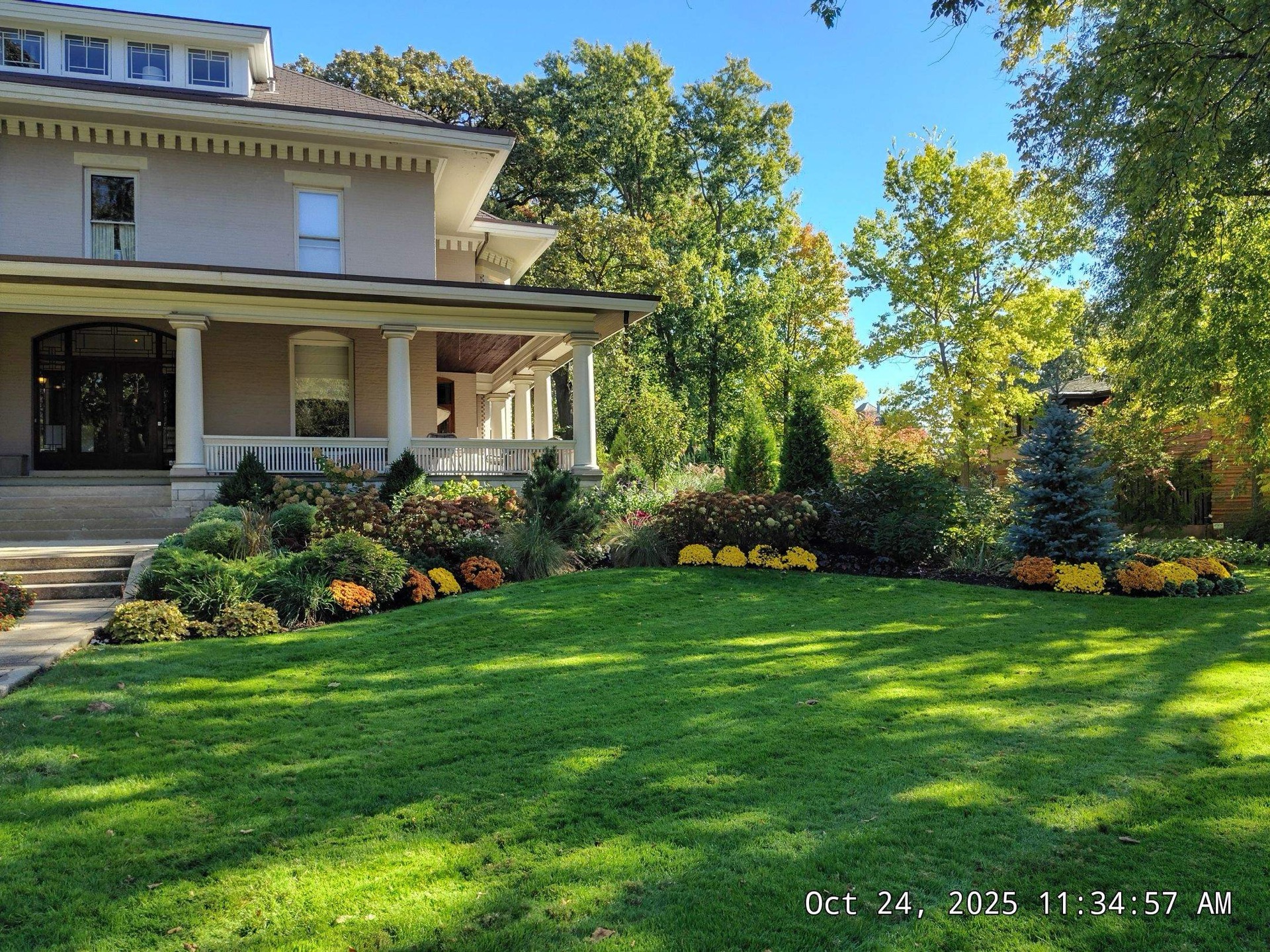Lush Green Landscape