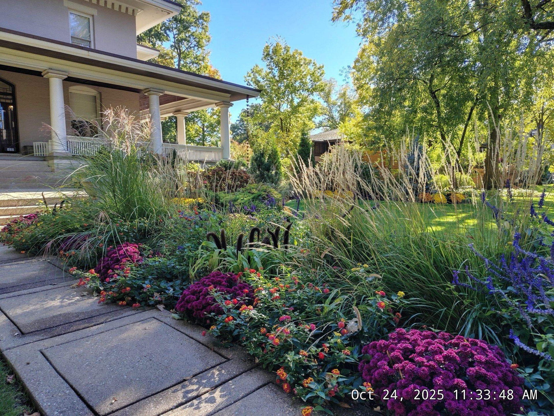 Landscape beds with fresh organic mulch
