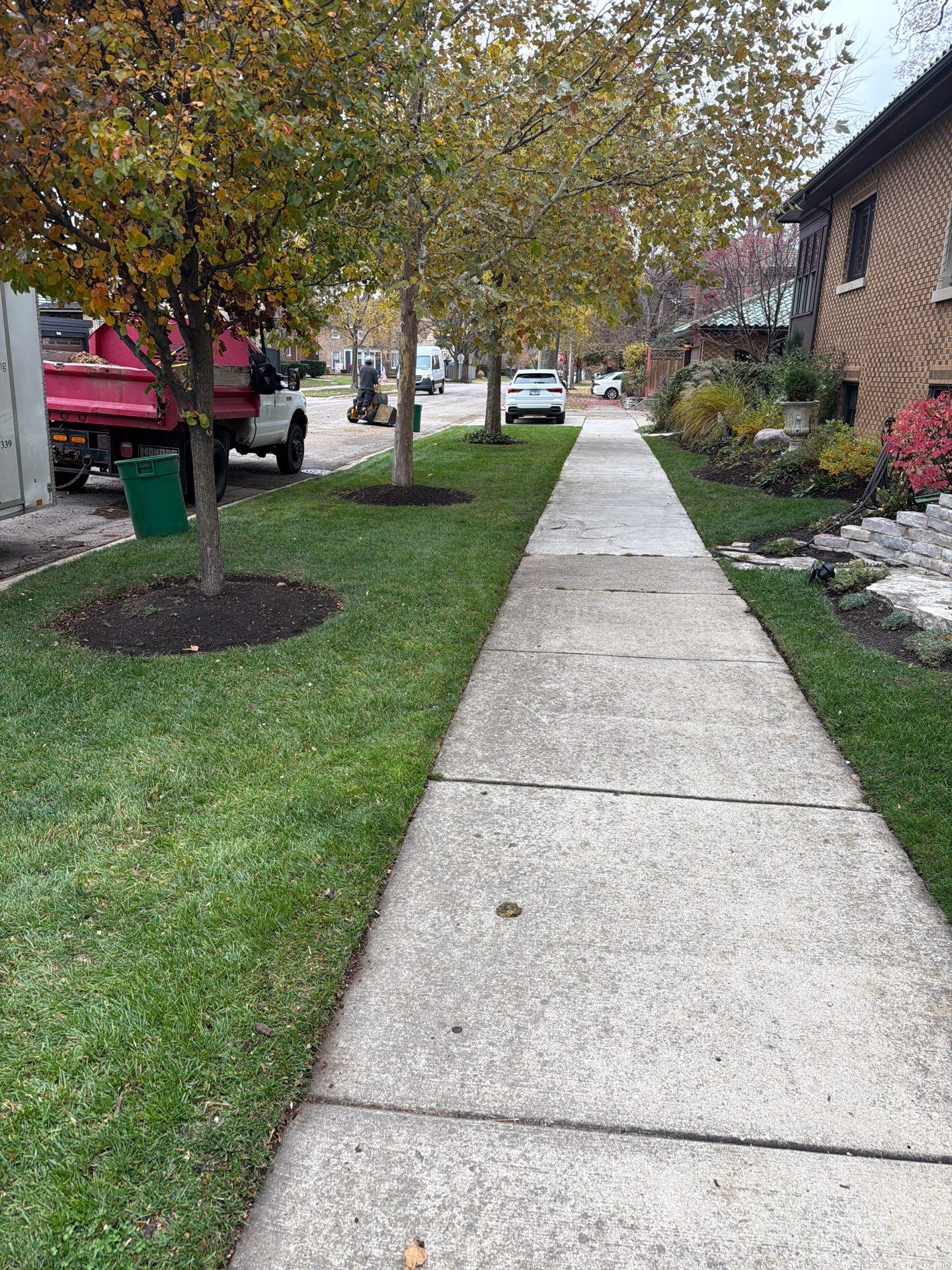 Fall leaves cleared from walks and turf
