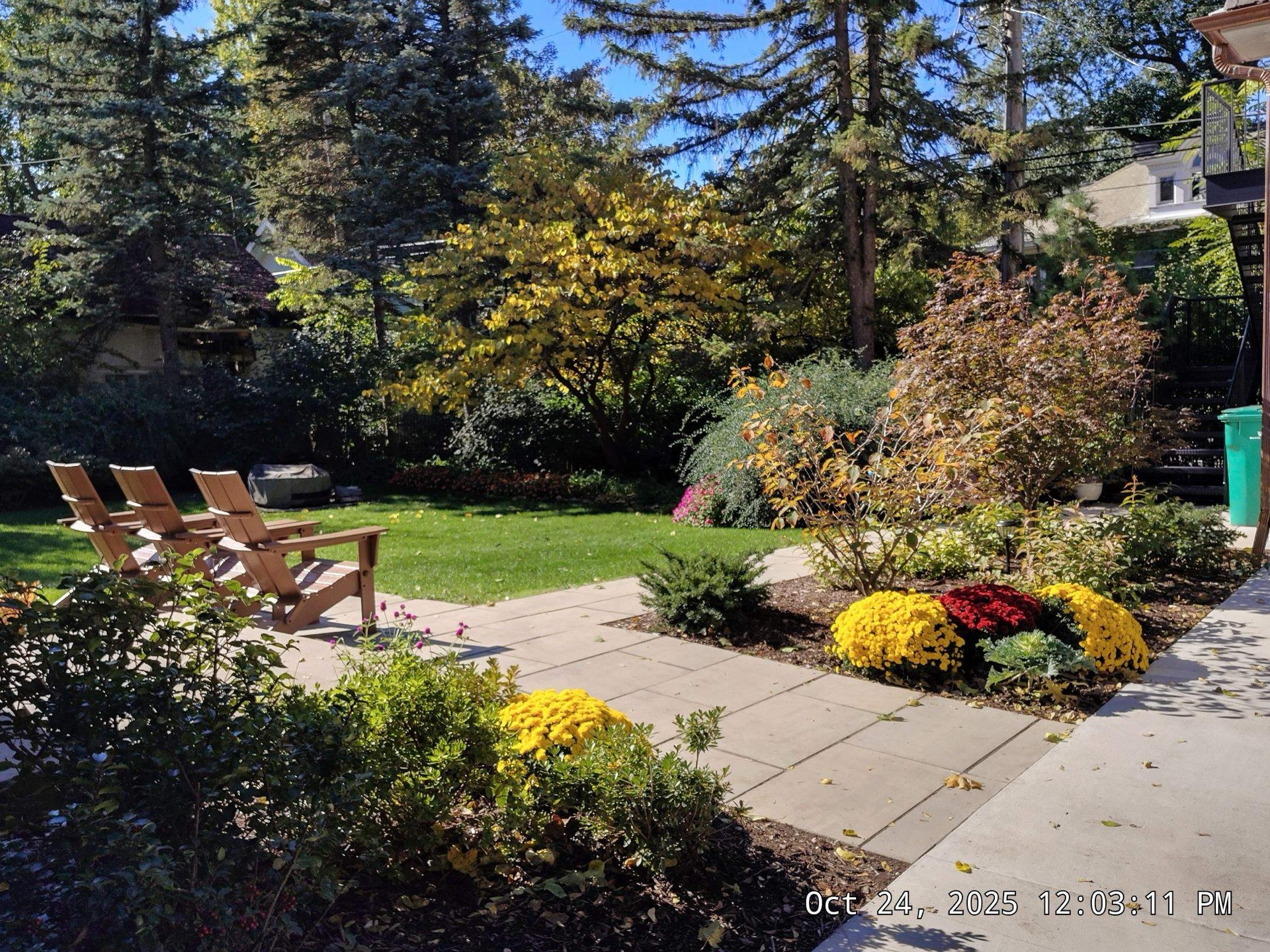 Mulched beds with fall color