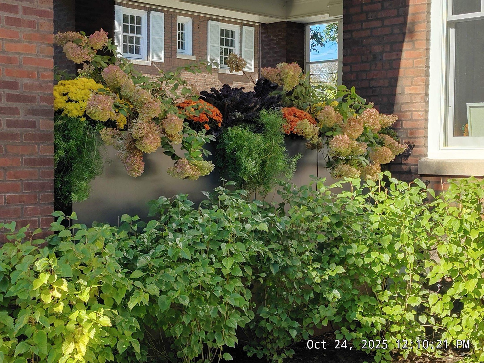 Fresh mulch along foundation beds