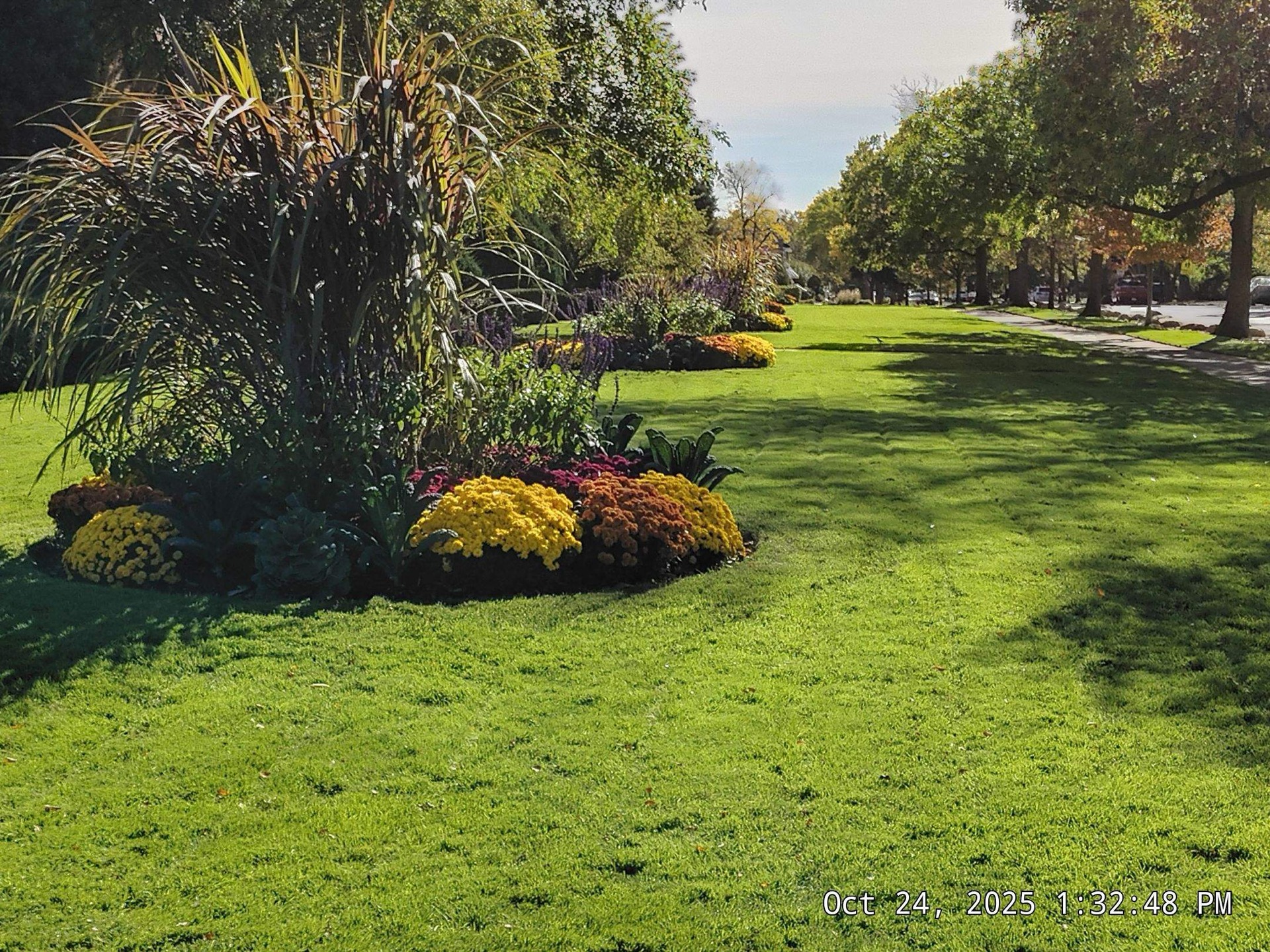 Tree rings with proper flare clearance