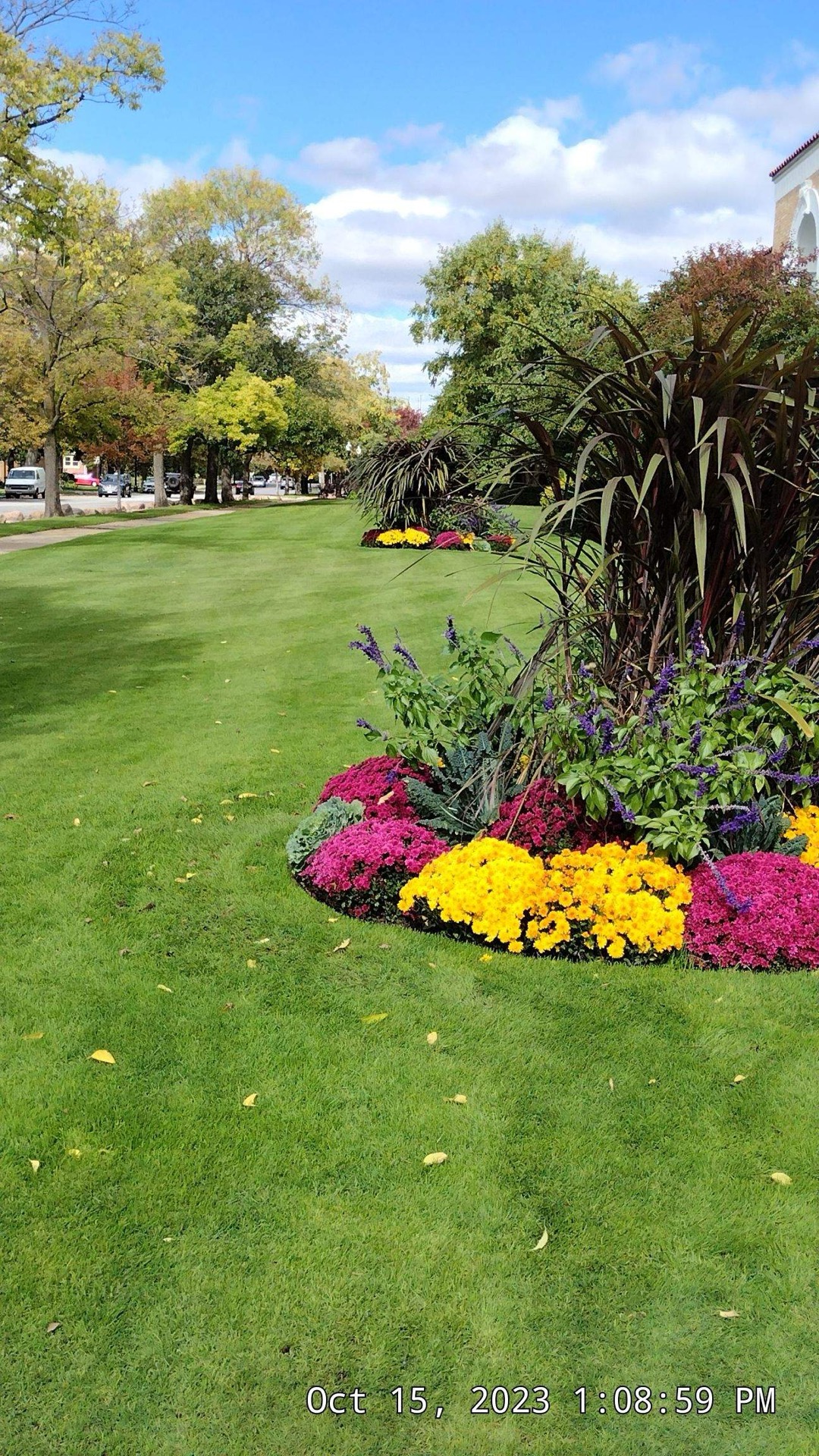 Mulched landscape beds