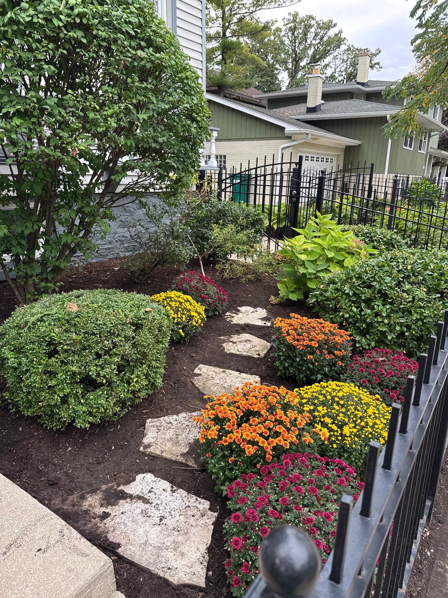 Residential turf near Berwyn, IL