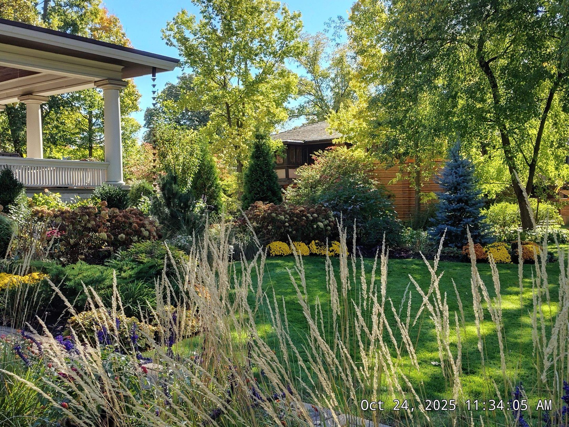 Organic mulch in residential beds