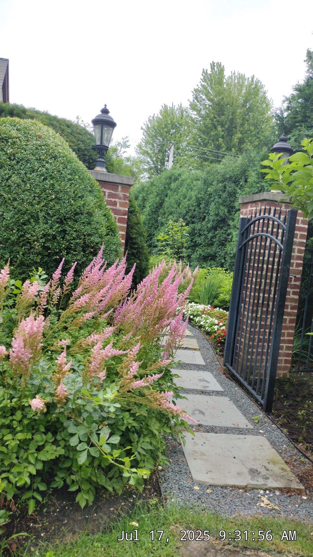 Garden maintenance with neat beds alongside green turf