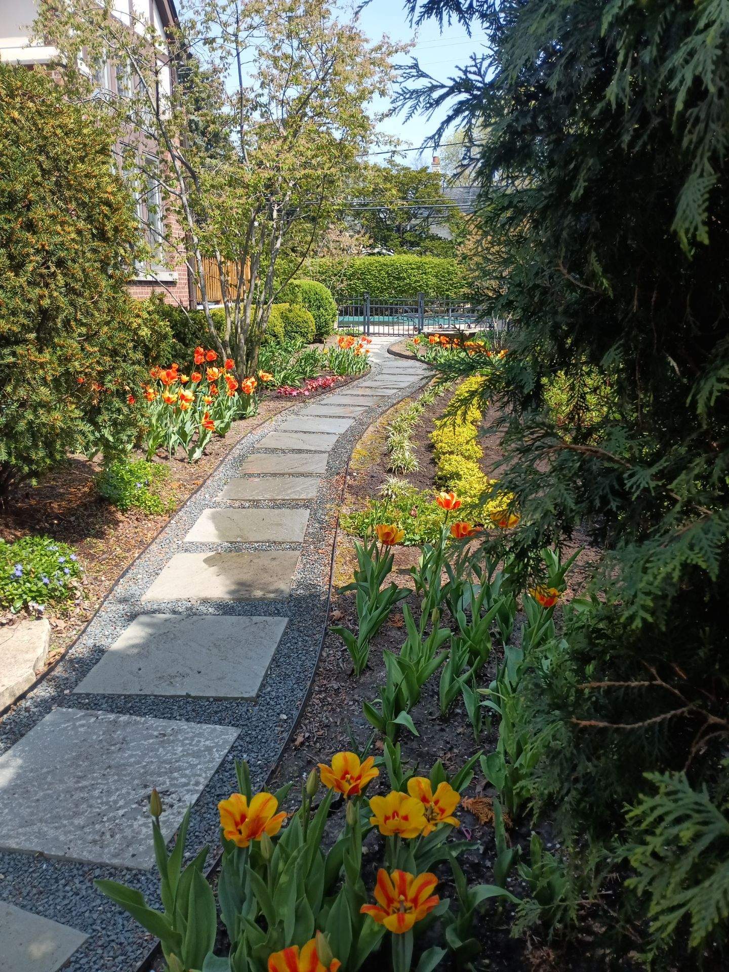 Spring garden maintenance and flowering beds