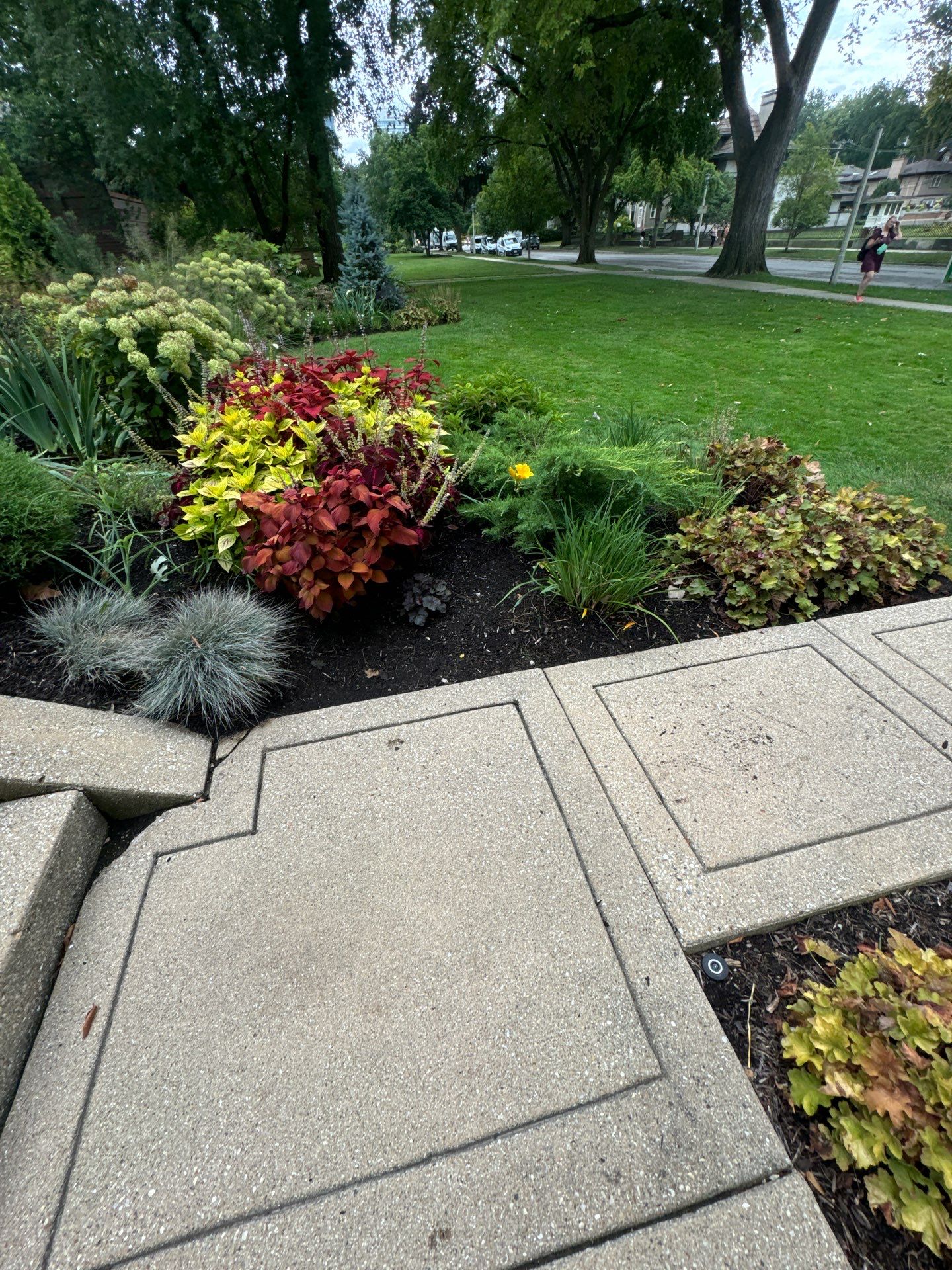 Recent landscape work near Riverside