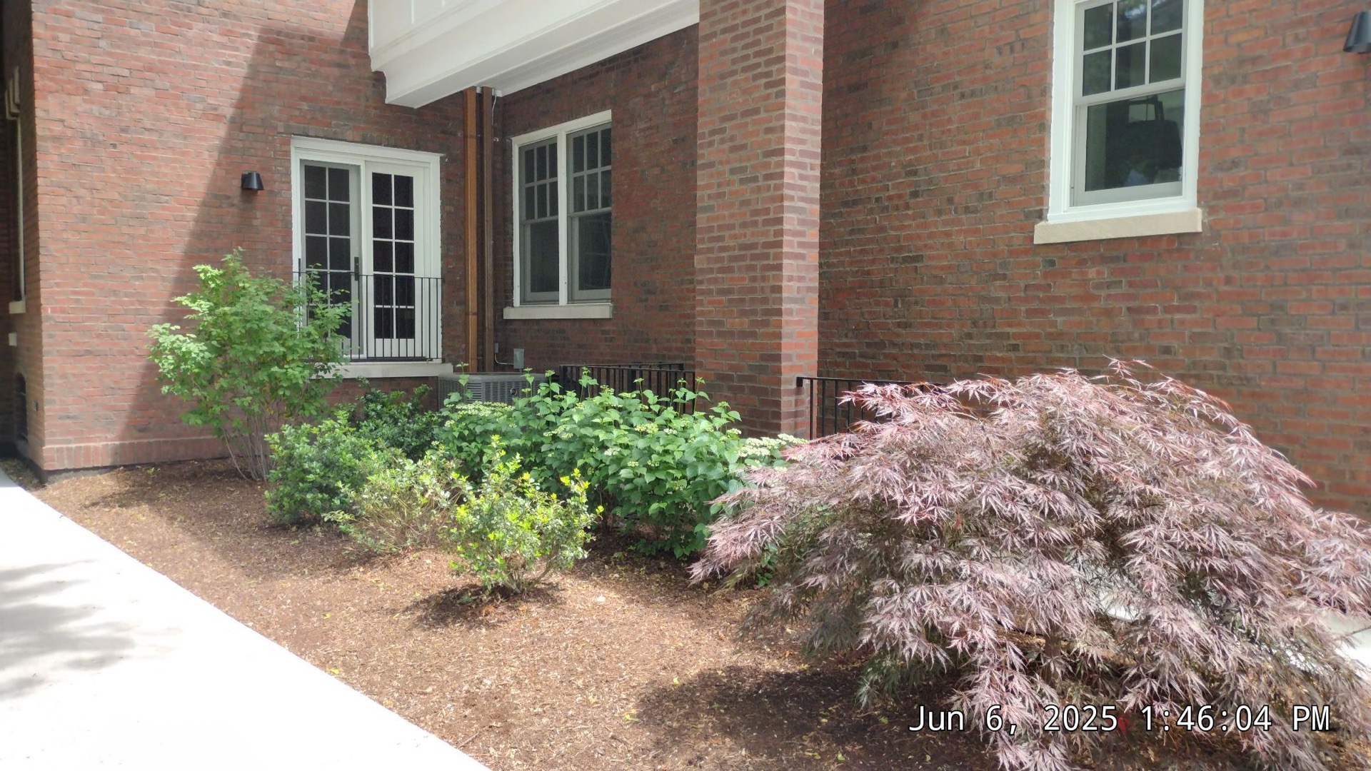 Fresh landscape installation with lawn and plantings