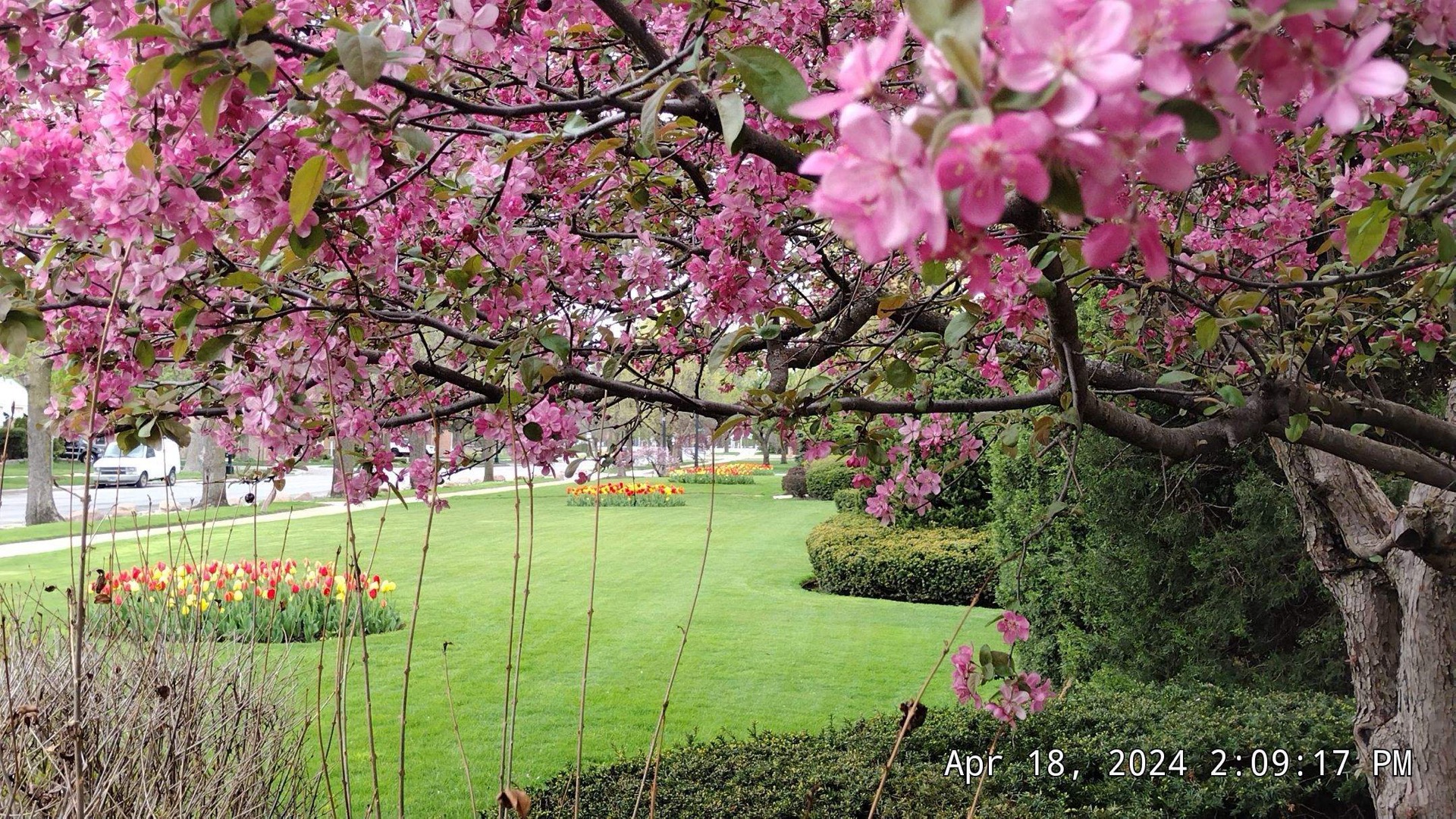 Recent landscape work near Berwyn