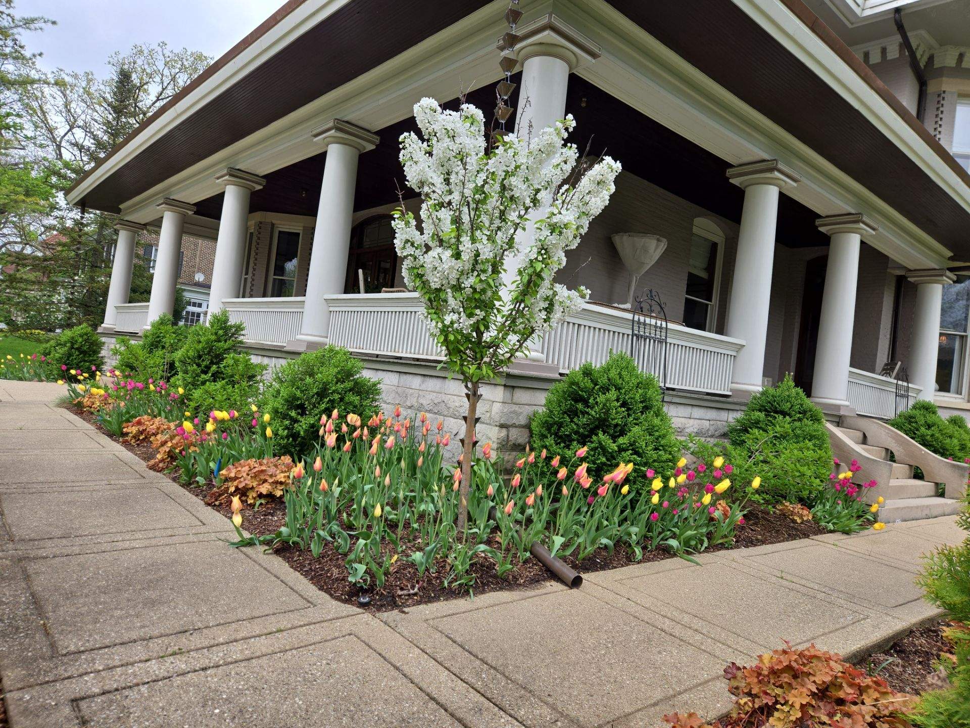 Foundation beds after seasonal maintenance