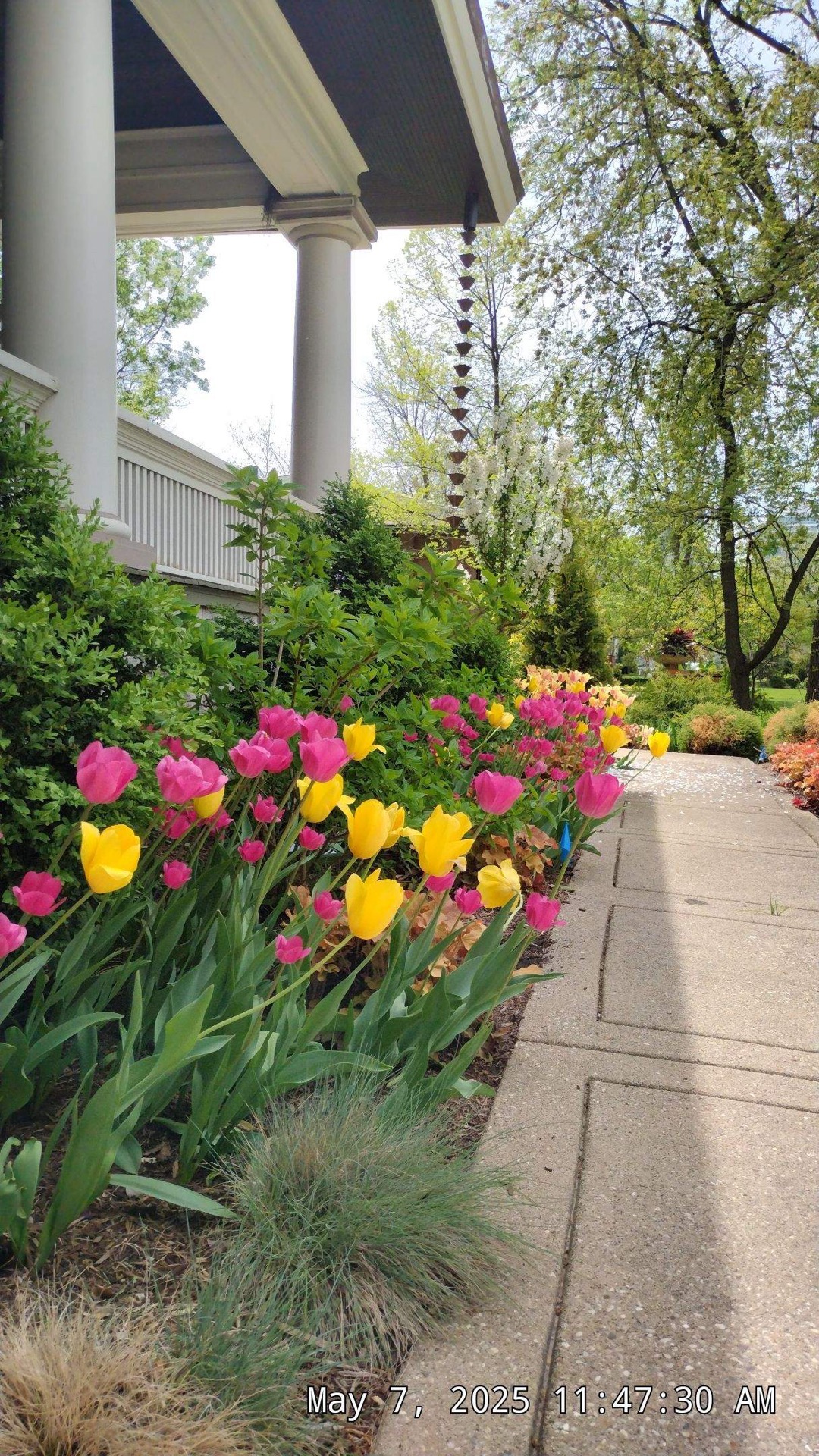 Hoy Landscaping professional landscape care in Oak Park and west Chicagoland