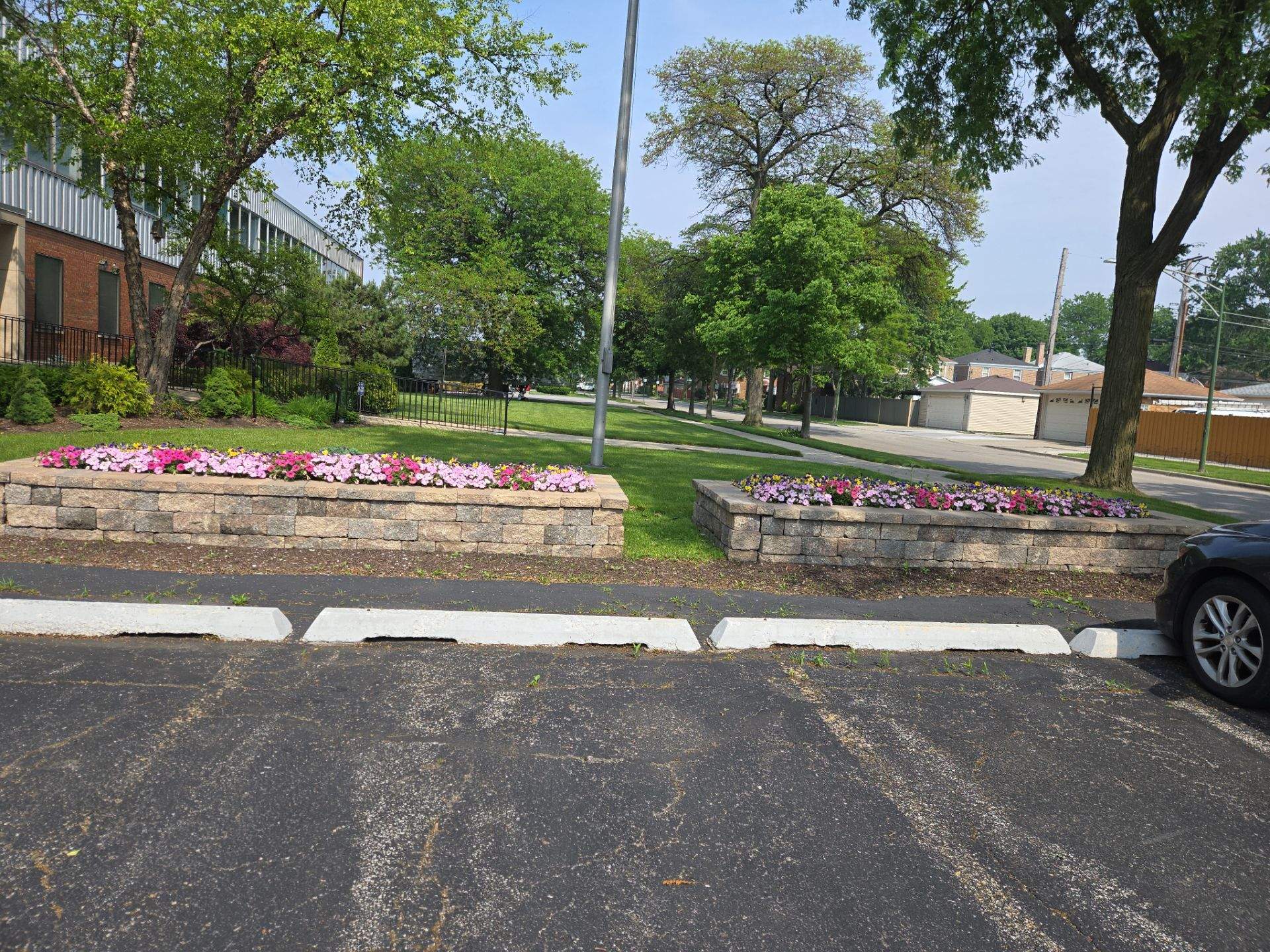 Healthy lawn and turf in Berwyn, IL