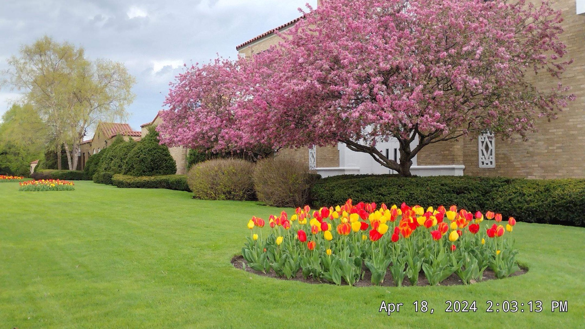 Watering Lawn and Garden