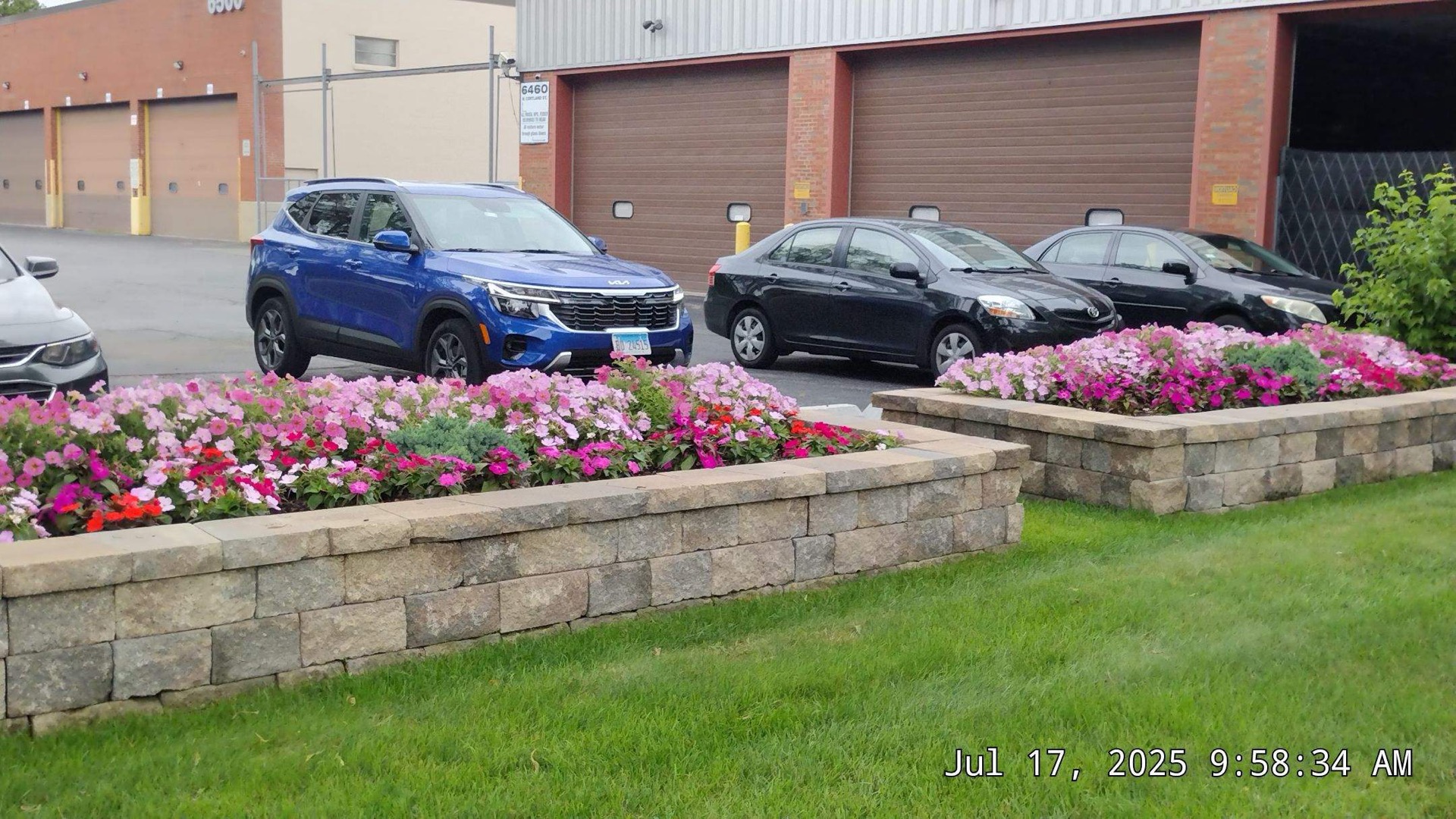 Maintained summer color and shrubs