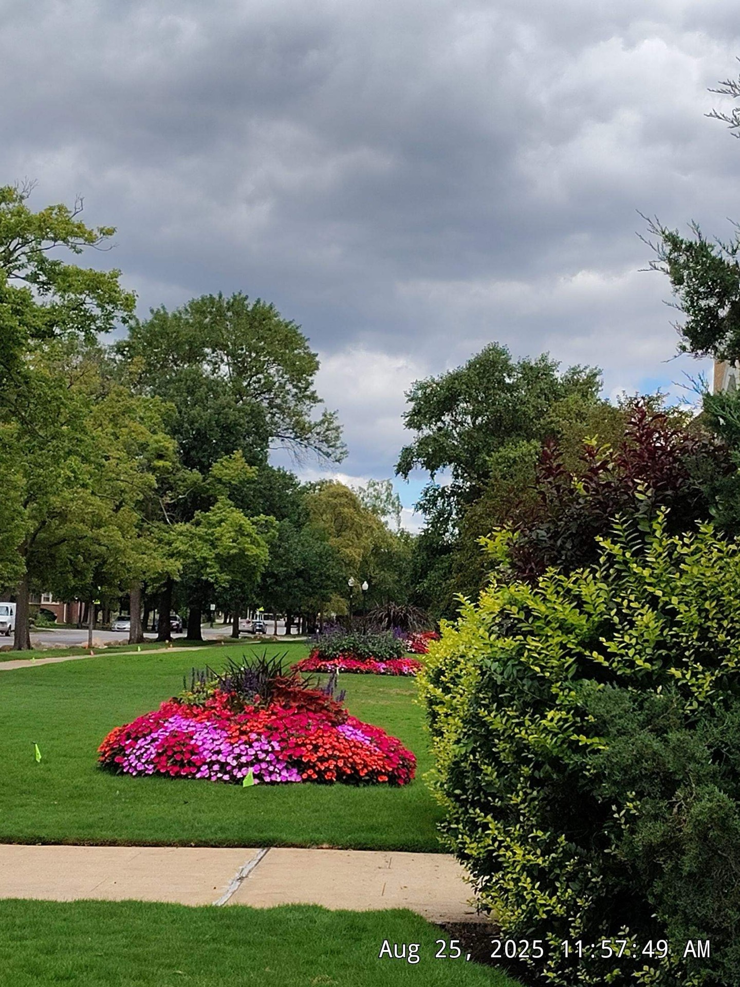 Seasonal pruning and bed care