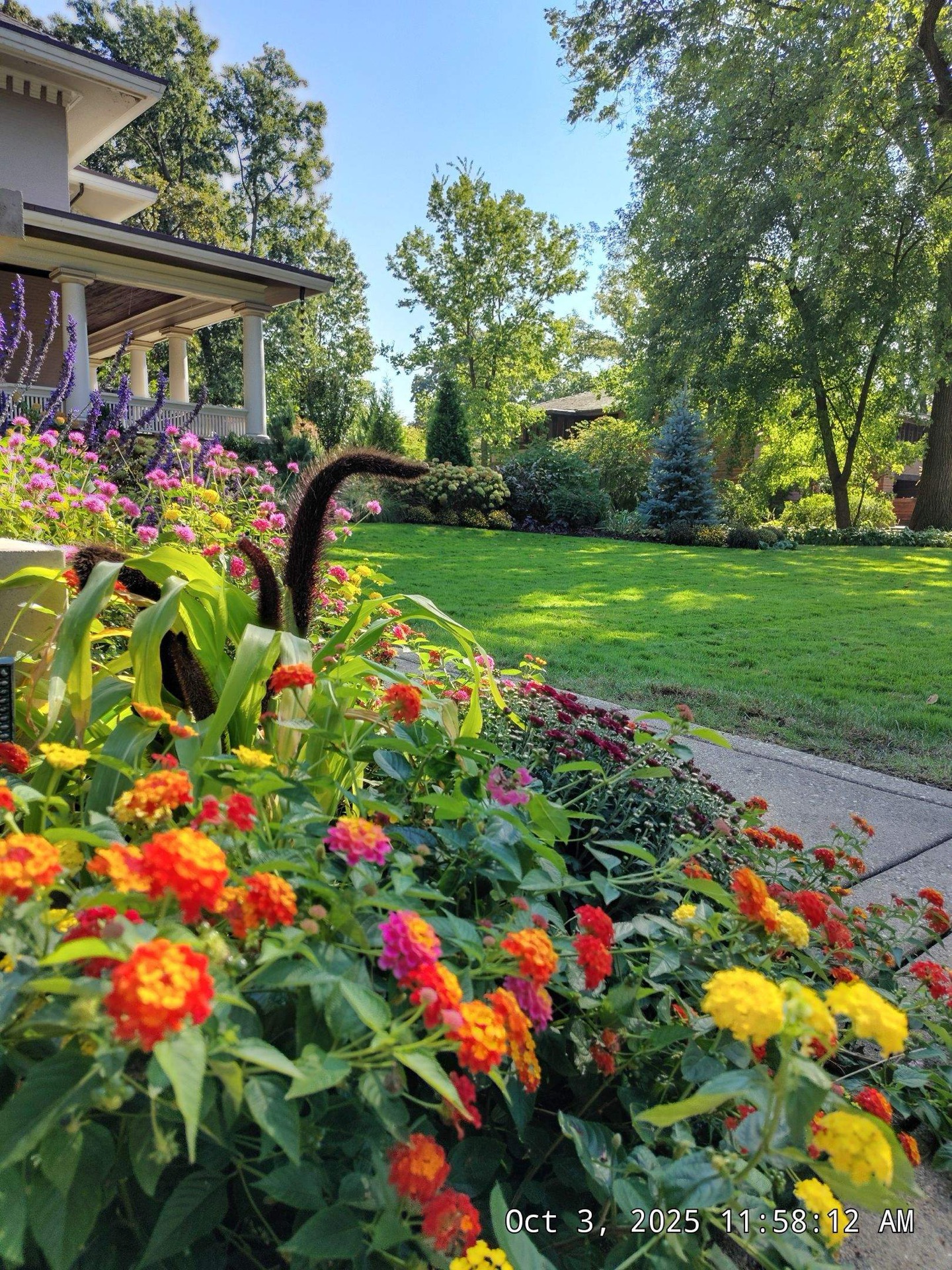 Residential landscape maintained in Riverside, IL