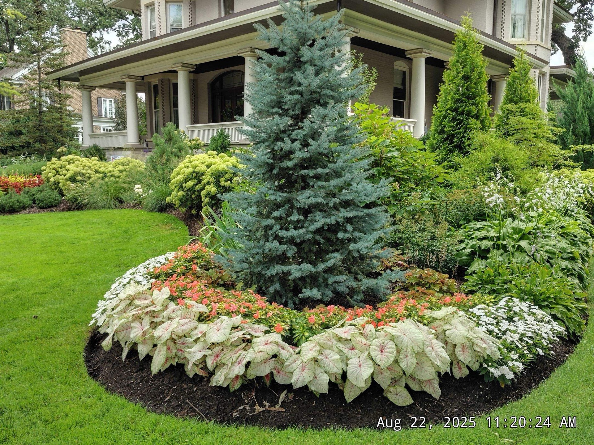 Landscaping near Riverside landmarks