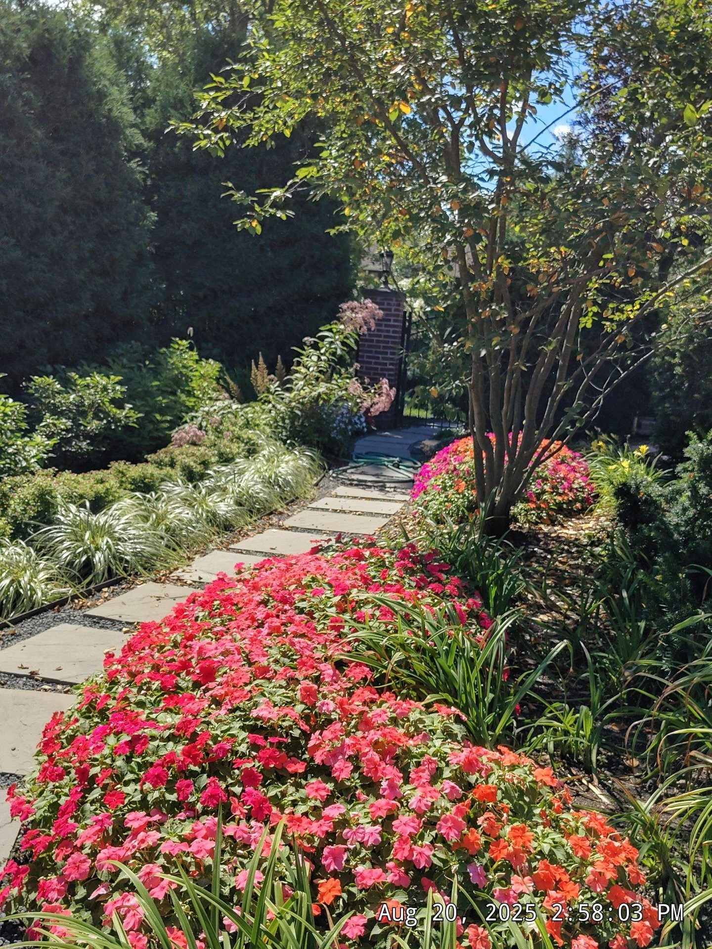 Turf and landscaping in Riverside neighborhoods