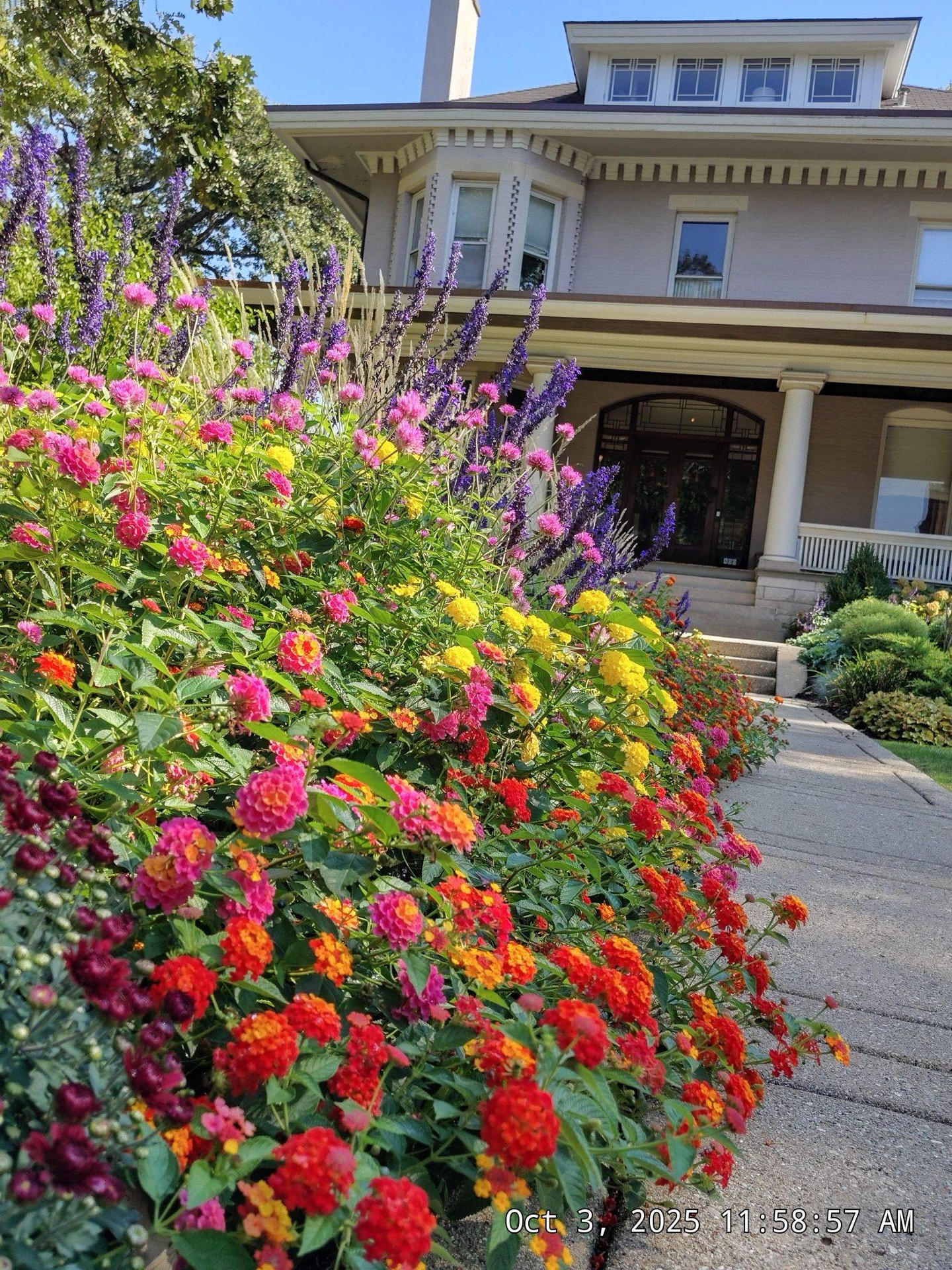 Lawn and landscape work near Forest Park, IL