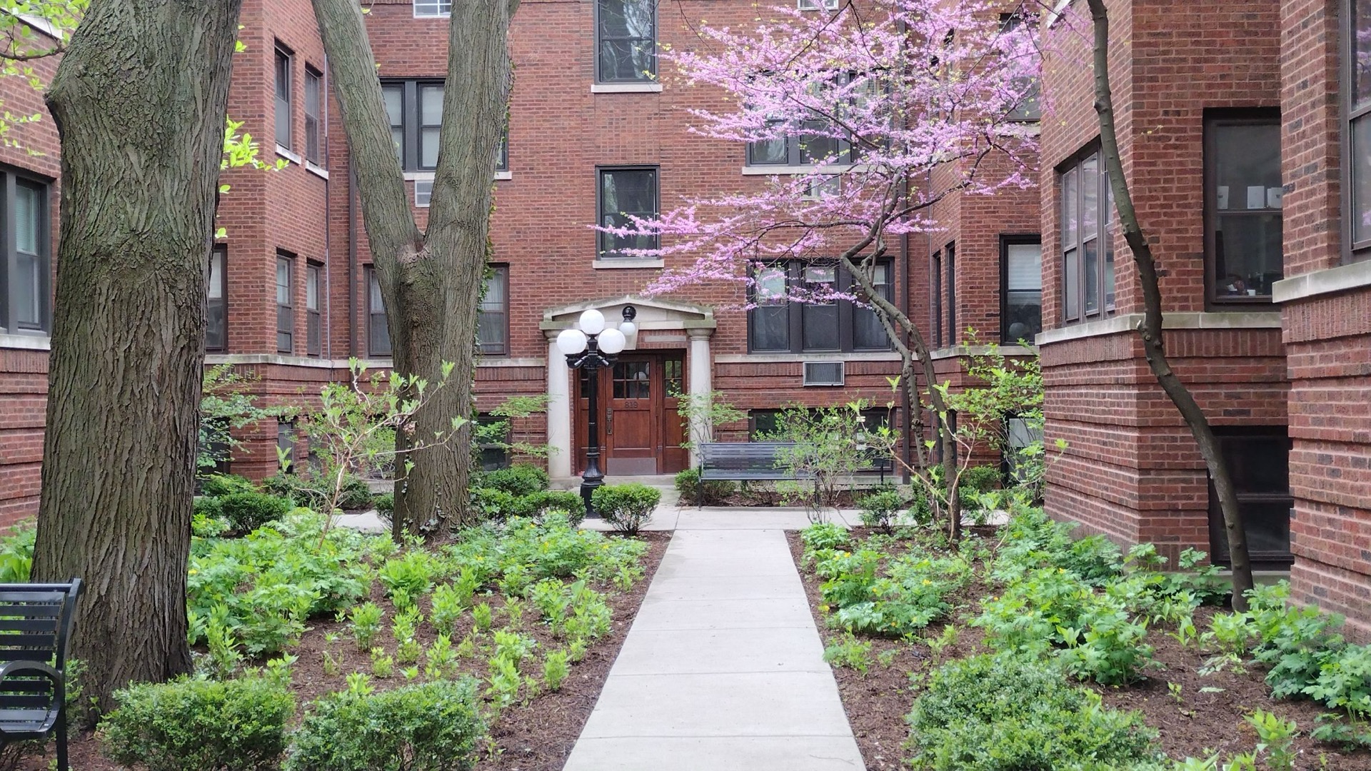 Townhome landscape with foundation plantings