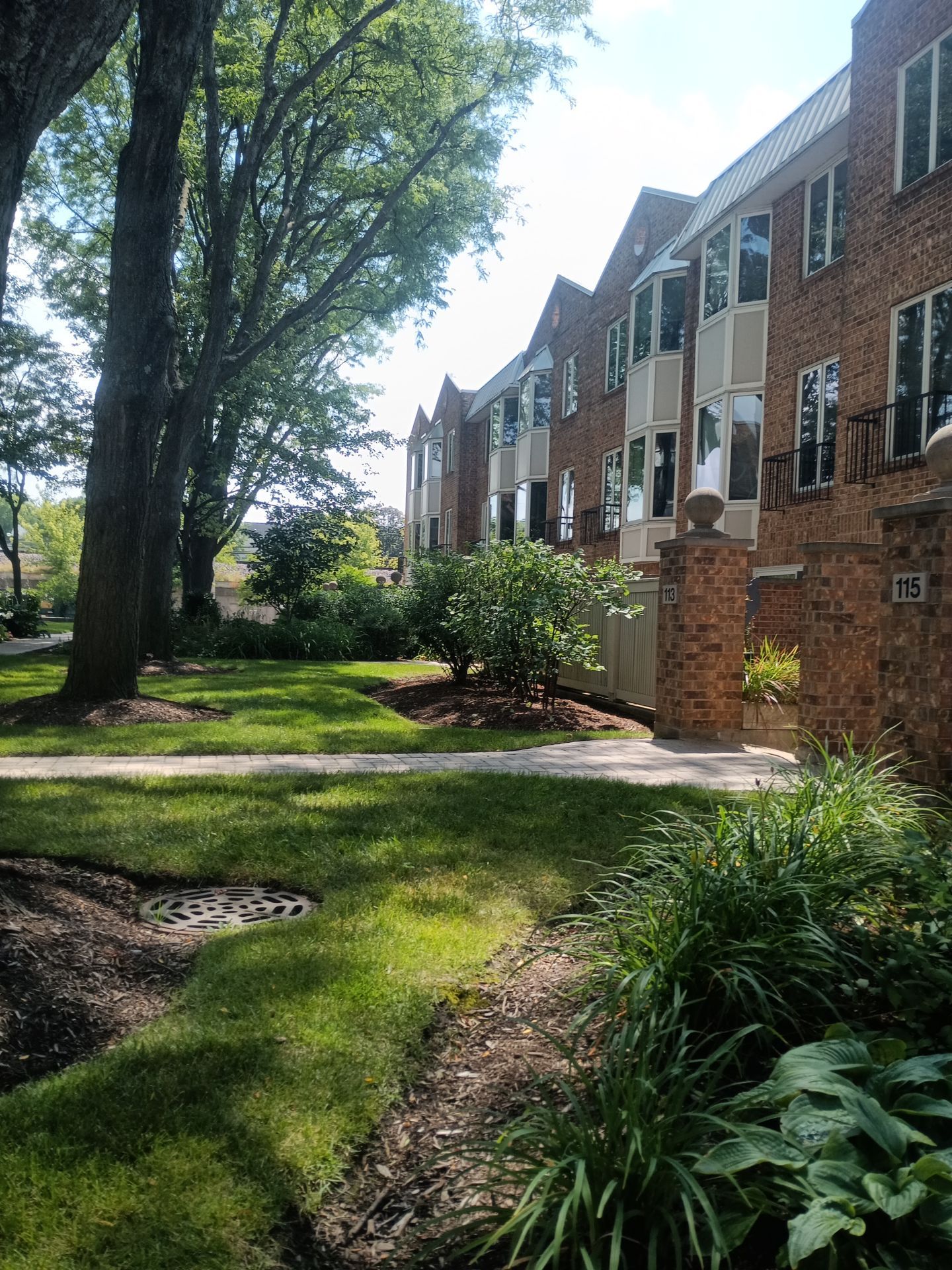 Building facade and foundation plantings where climbing vines may need phased removal