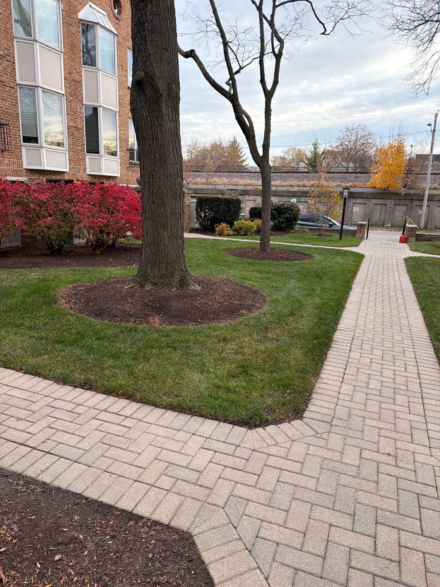 Association fall cleanup and bed detail