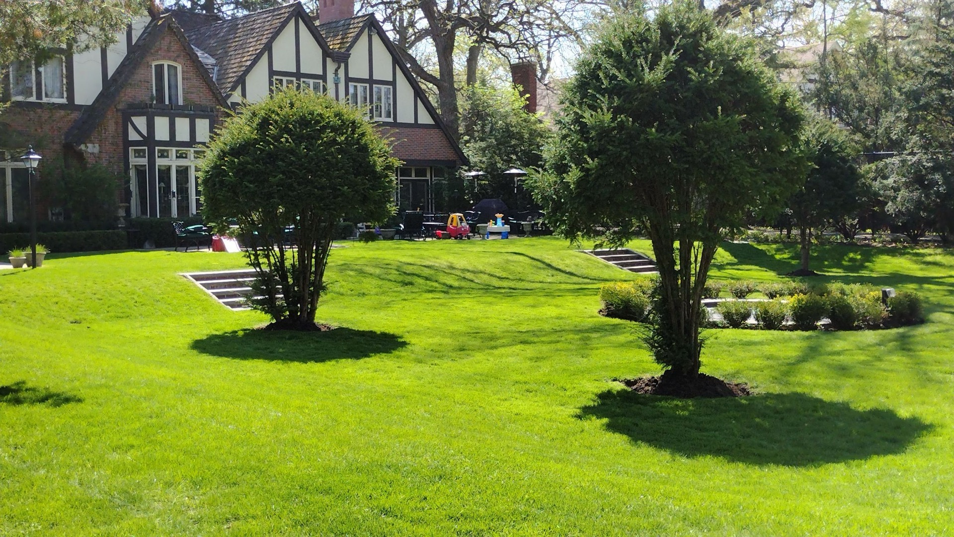 Cool-season lawn with even turf coverage