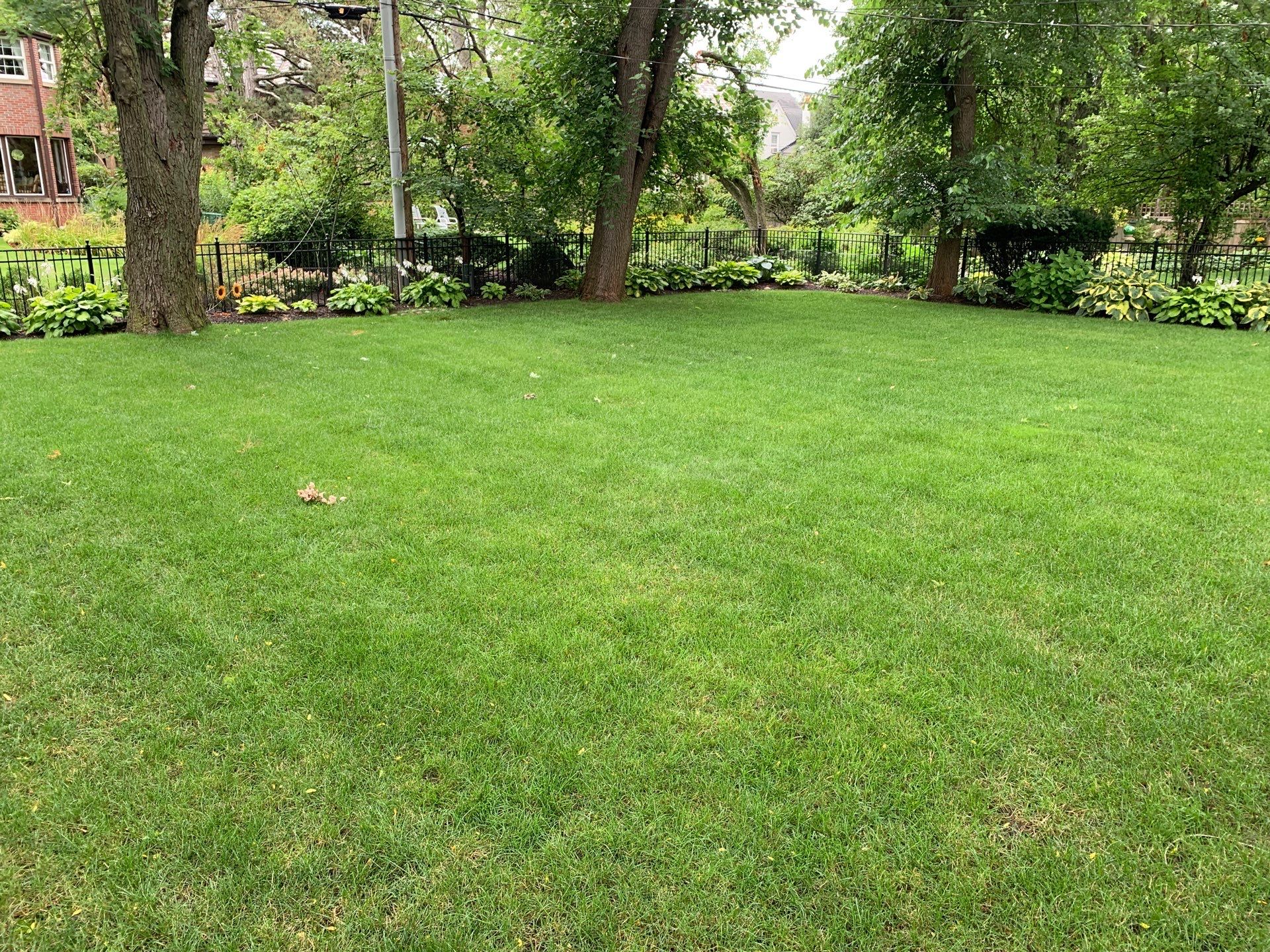 Even cool-season residential turf