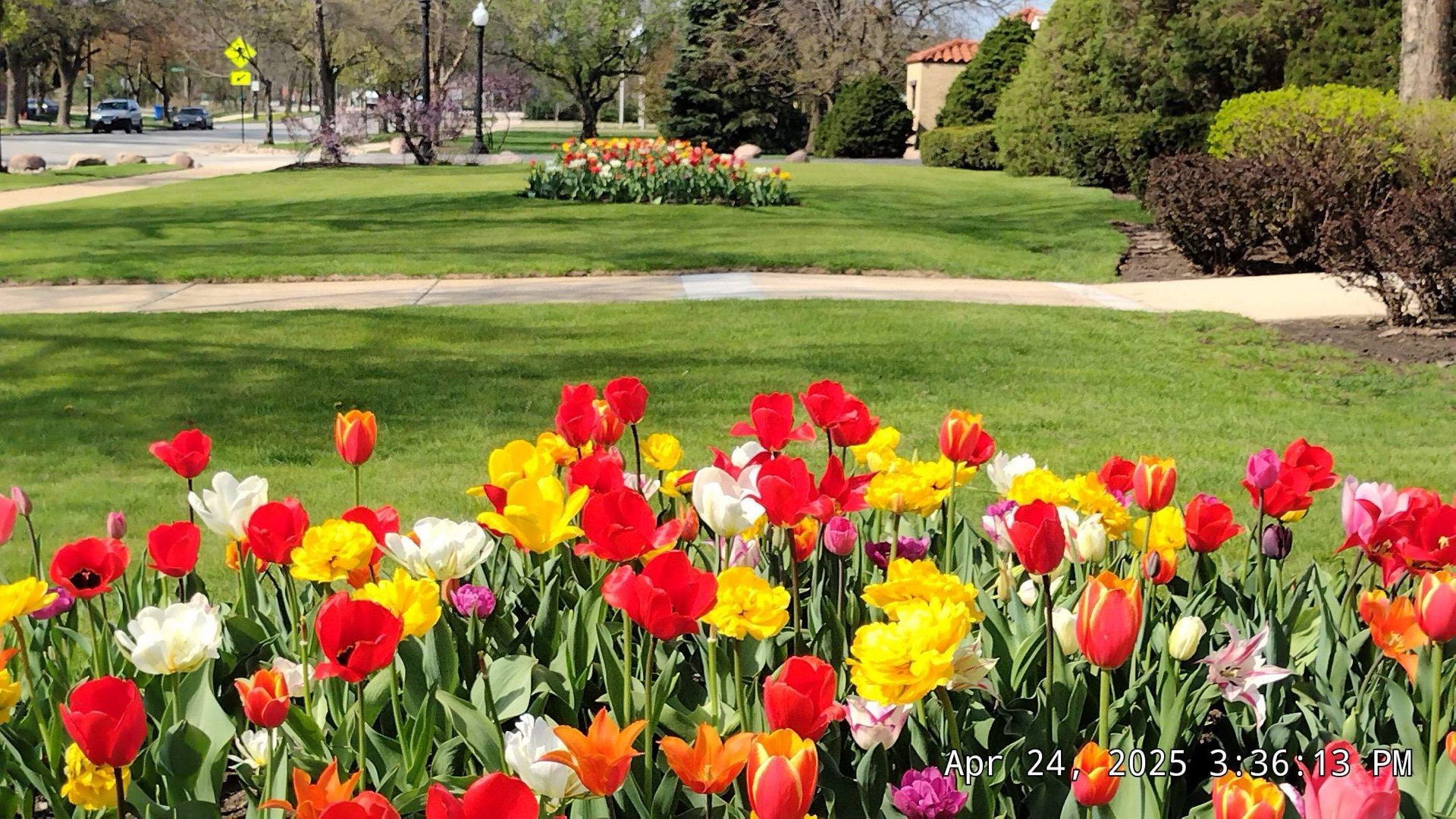 Quality lawn care results