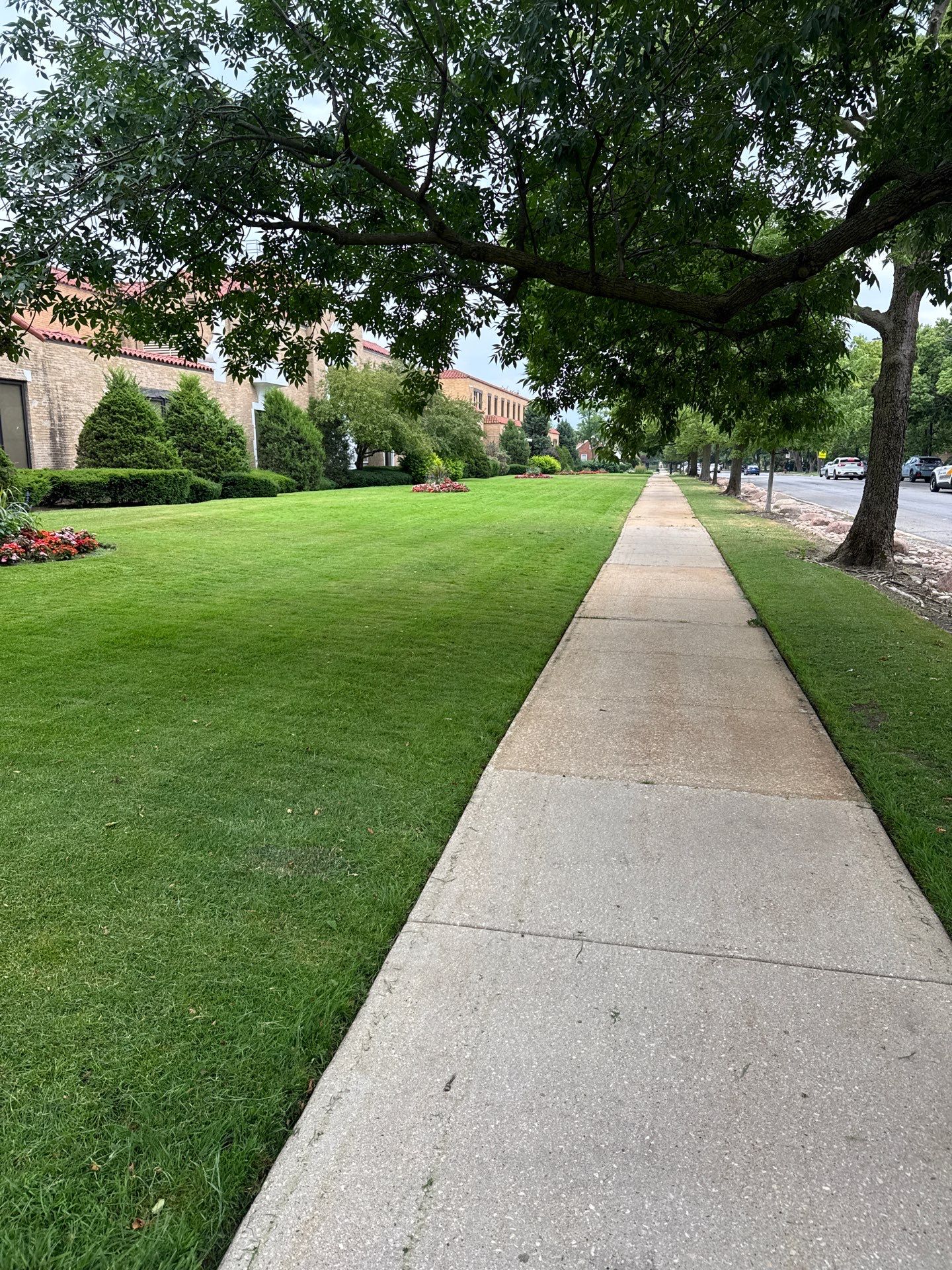Healthy cool-season lawn and maintained turf near foundation beds