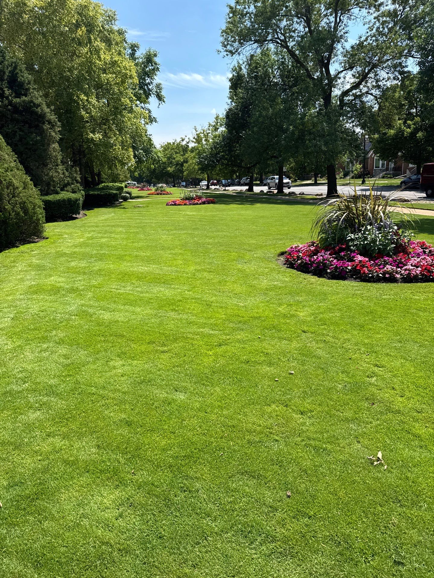 Even turf and landscape edges on a suburban yard