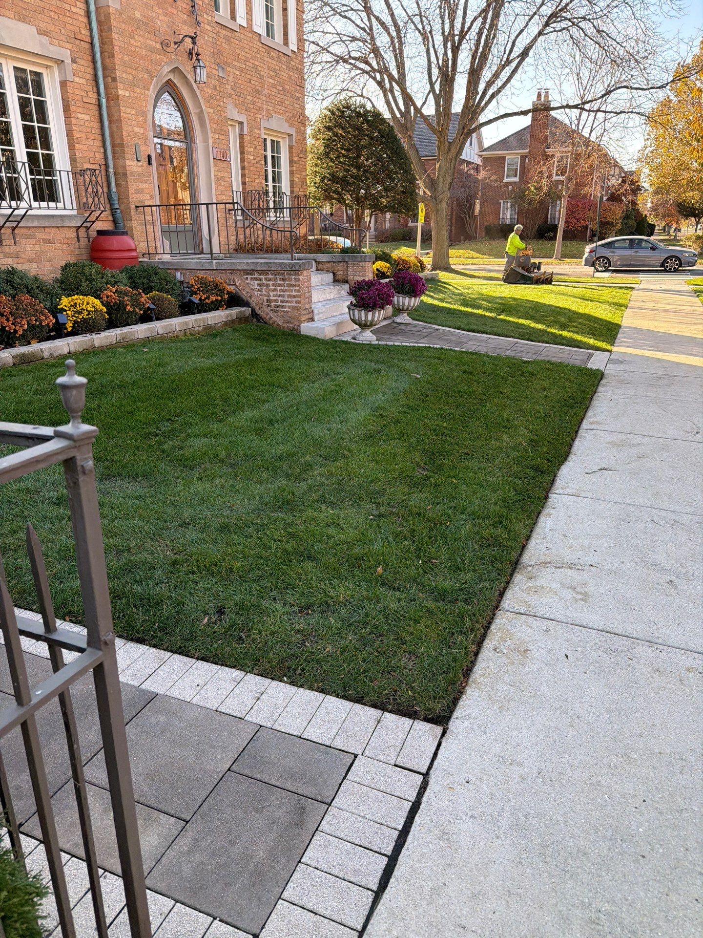 Turf and landscaping in Chicago (By Zip Code) neighborhoods