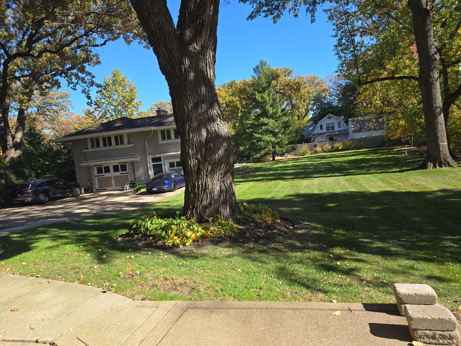 Cool-season lawn care near Chicago (By Zip Code), IL