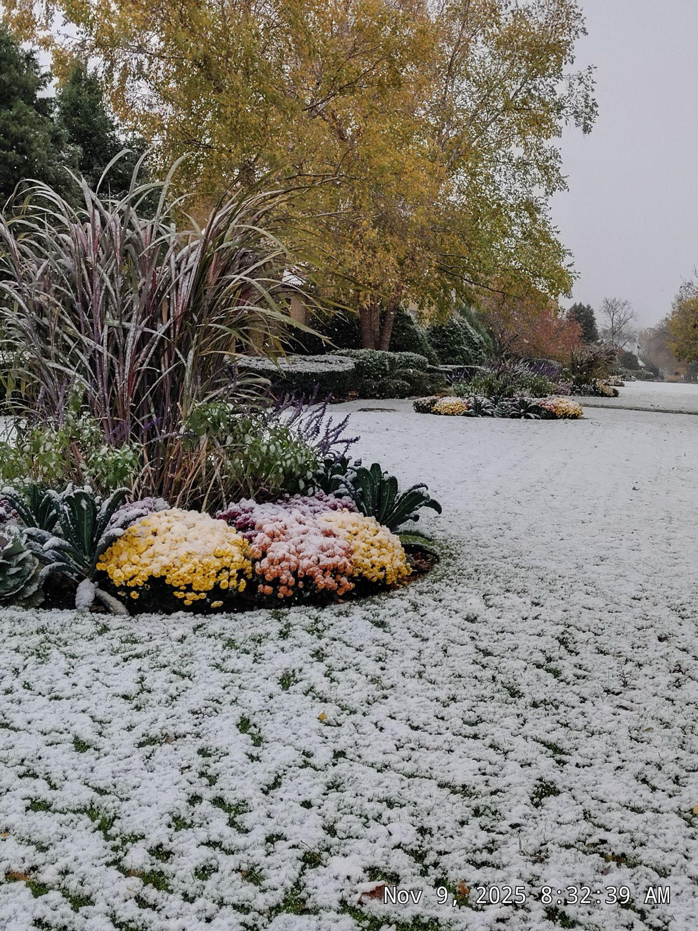 Heavy snow on drives and walks before relocation or haul-off