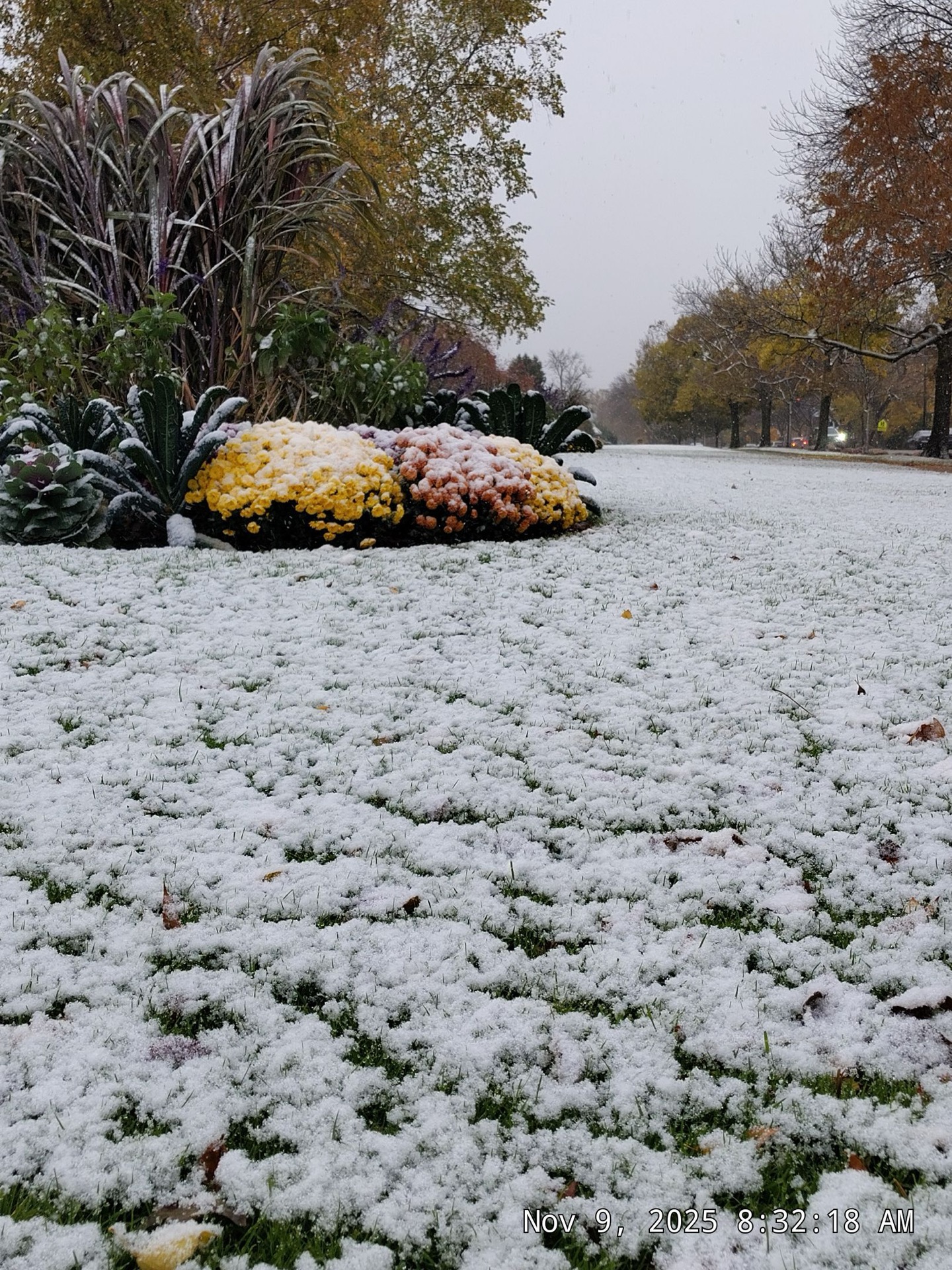 Snow-covered walks and landscape edges at a commercial site